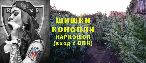 гашик Новодвинск