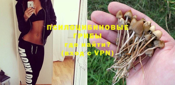 таблы Аркадак