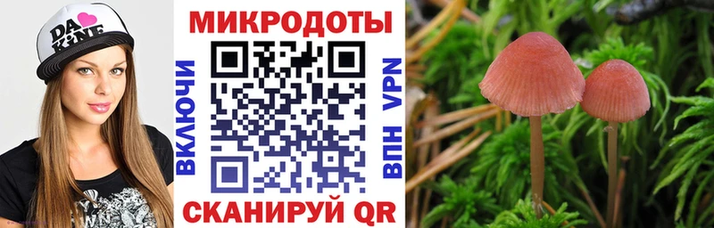 Галлюциногенные грибы GOLDEN TEACHER  наркотики  Мытищи 