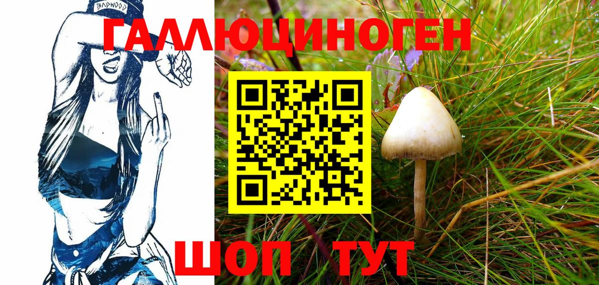 Галлюциногенные грибы Psilocybine cubensis  Псилоцибиновые грибы GOLDEN TEACHER  Вход с VPN  Мытищи 